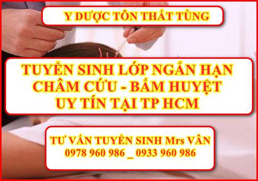 Châm cứ