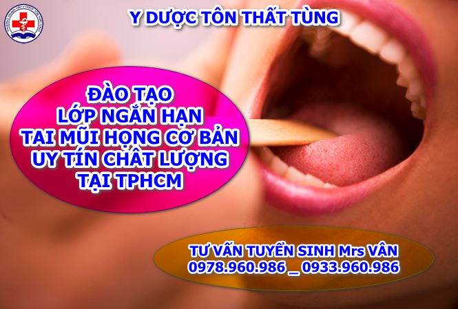 TAI MŨI HỌNG CƠ BẢN