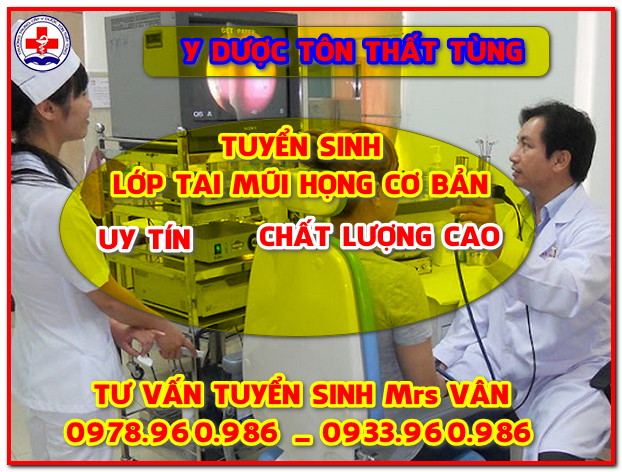 định hướng tai mũi họng