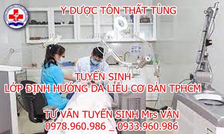 da liễu cơ bản