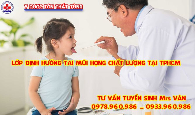 định hướng tai mũi họng cơ bản