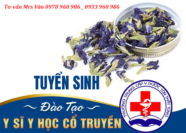 trung cấp y học cổ truyền