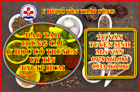 Cơ hội việc làm khi học trung cấp y học cổ truyền