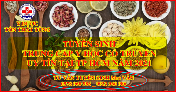 Cơ hội việc làm khi học trung cấp y học cổ truyền