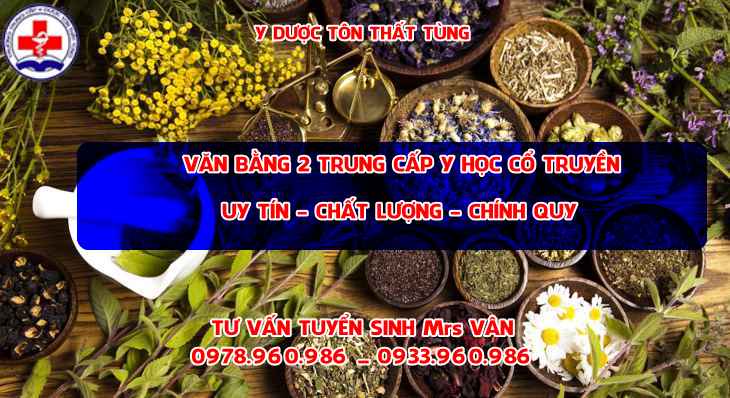 văn bằng 2 y học cổ truyền