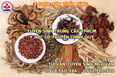 Học trung cấp y học cổ truyền có dễ xin việc không?