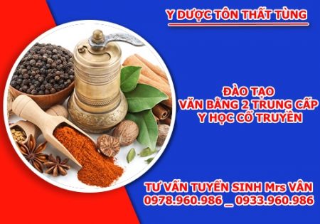 Đào tạo Văn bằng 2 y học cổ truyền từ xa