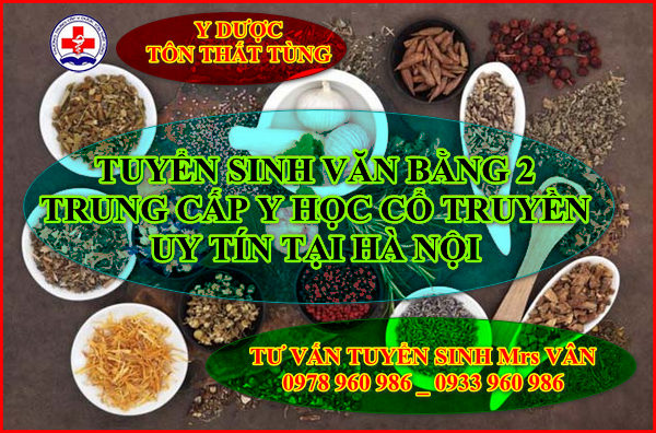 Trung cấp y học cổ truyền văn bằng 2 học online?