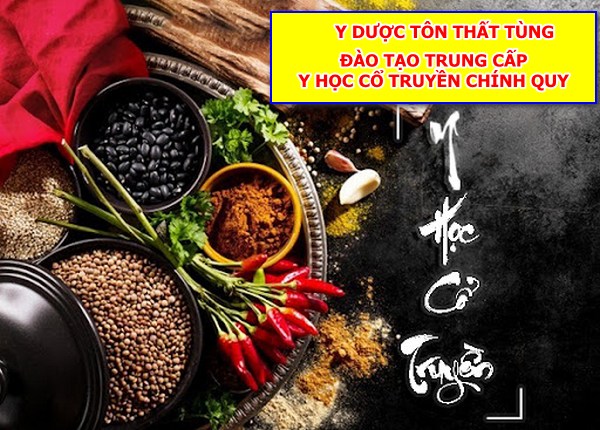 TRUNG CẤP Y HỌC CỔ TRUYỀN