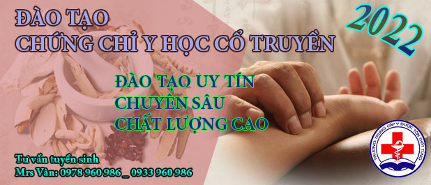 Chứng chỉ ngắn hạn y học cổ truyền uy tín tại tp.HCM