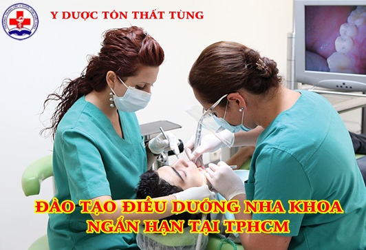 Chứng chỉ điều dưỡng nha khoa 2024 uy tín tại TPHCM