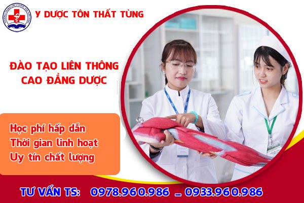 Học liên thông cao đẳng dược 2024 có khó không?