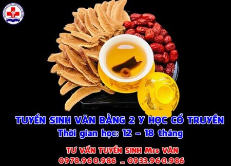 Thời gian học văn bằng 2 y học cổ truyền bao lâu?