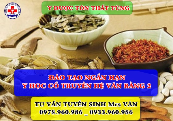 Đào tạo y học cổ truyền hệ 12 tháng tại TPHCM