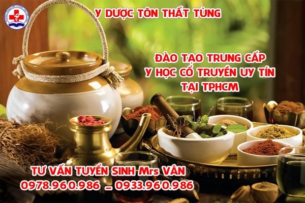 Việc làm khi học y sĩ y học cổ truyền năm 2024