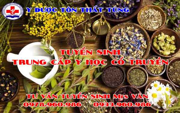 Cơ hội việc làm ngành học y học cổ truyền trung cấp