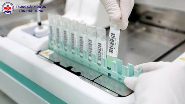 gcp trong ngành dược là gì