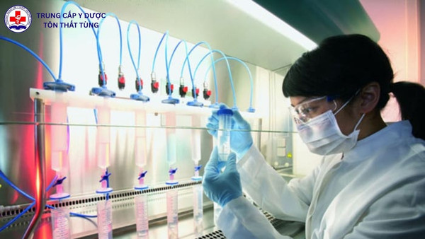 gcp trong ngành dược là gì