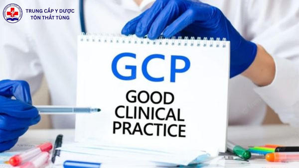 gcp trong ngành dược là gì